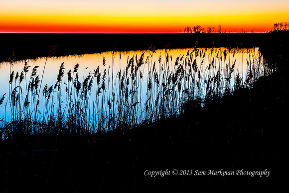 Moments before sunrise in Bombay Hook National Wildlife Refuge, Delaware