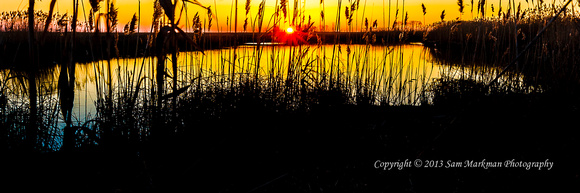The Sun bursts forth over the marshes to begin a new day at Bombay Hook Nat'l Wildlife Refuge