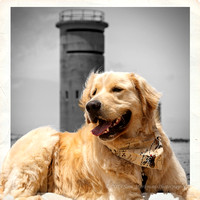 Santino poses in front of WWII Watch Tower