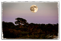 Superimposed Moonrise
