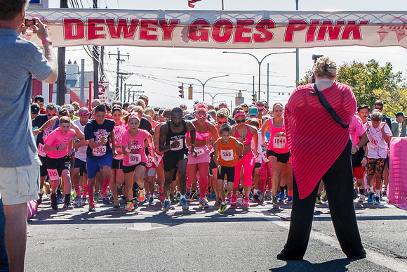 Dewey Goes Pink 2014