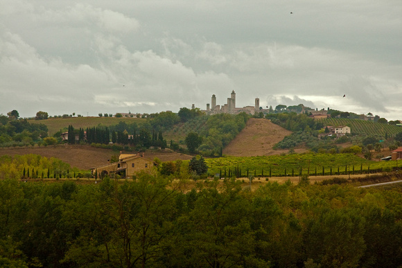 San Gimignano in Background
