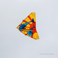 Colorful Kites are Everywhere!!