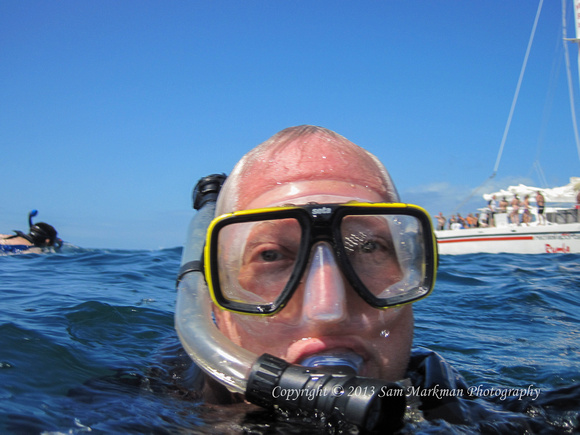 Snorkeling: 1940 Antilla shipwreck; Aruba