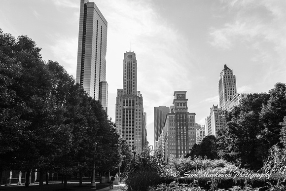 Chicago Skyline from Millennium Park
