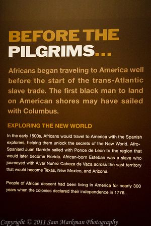 African travel to America began approx 500 years ago.