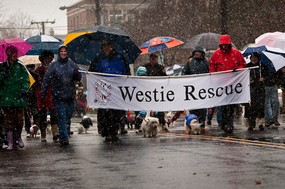 Heidi Gundlach (left), Malcolm Maclennan (center) & Stephen Di Giulian (right) lead the Westie Rescue group